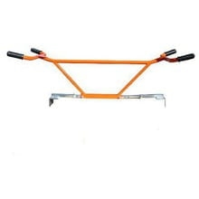 kleszcze podłużne.jpg