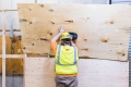 Nemo Grabo on Plywood.jpg