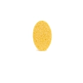 1691-2.jpg
