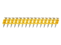 DeWalt_DCN8901015.jpg